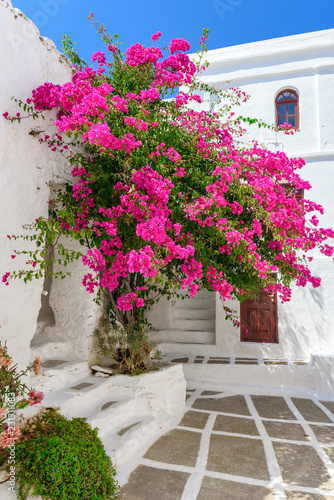Greek whitewashed architecture with summer flowers. Serifos island. Cyclades, Greece.