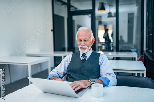 Elegant mature man using laptop in modern office.