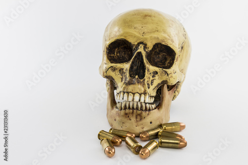Skull with gun cartridges
