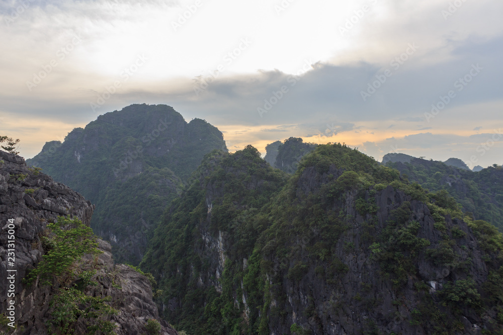 rice fields with the karst mountains in ninh binh, vietnam