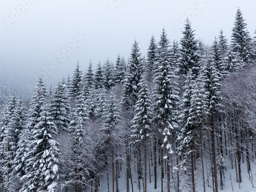 Trees covered with hoarfrost and snow in winter mountains - Christmas snowy background