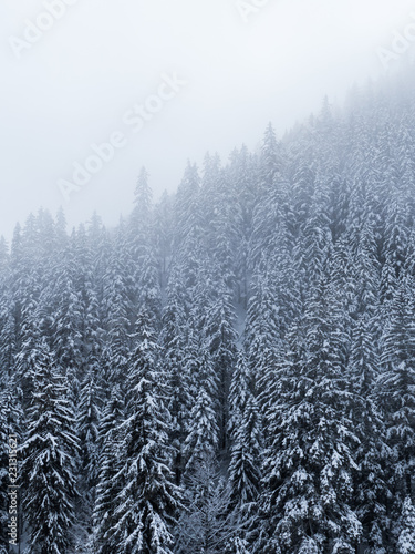 Trees covered with hoarfrost and snow in winter mountains - Christmas snowy background