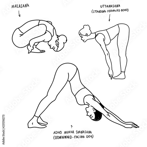 Malasana, uttanasana , adho mukha svanasana yoga poses