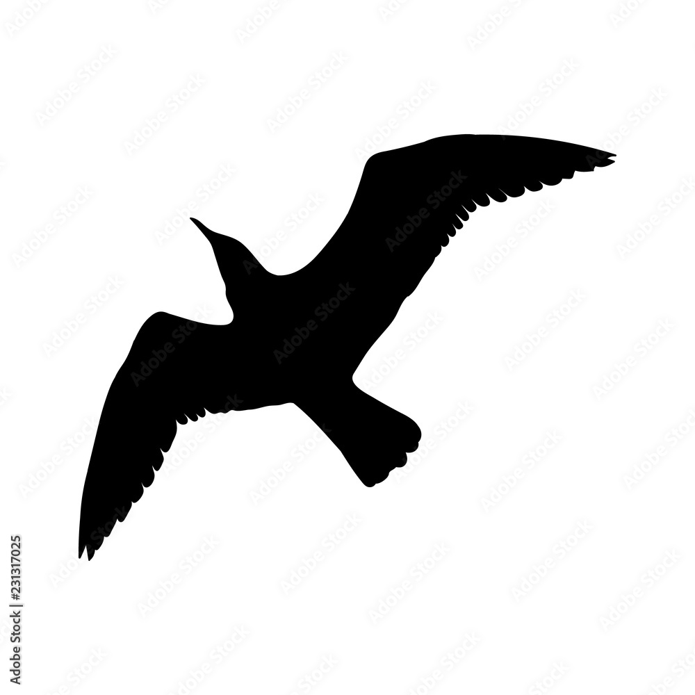 Flying Seagull Bird black silhouette isolated on white background. illustration Flying Seagull Bird black silhouette isolated on white background. illustration