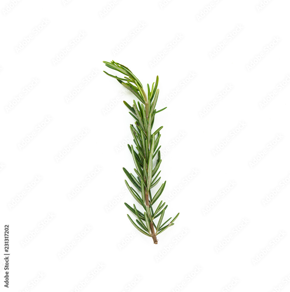 rosemary on isolated white background
rosemary on isolated white background