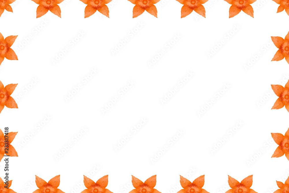 Orange physalis background, frame and border, copy space photo Orange physalis background, frame and border, copy space photo