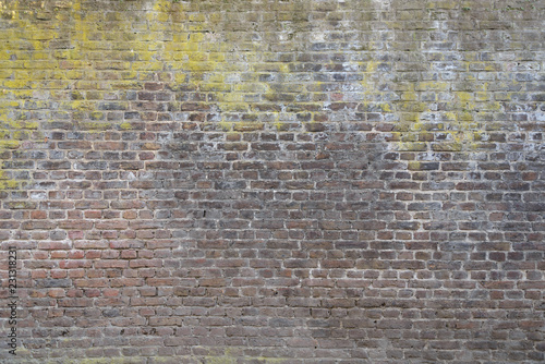 Old rough grunge brick wall texture and dry moss cover partly on the wall.