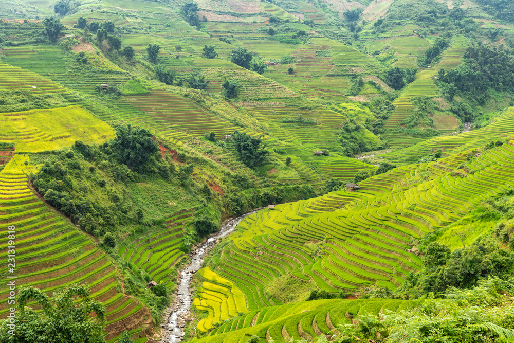 landscape rice fields on terraced of Mu Cang Chai, YenBai, Vietnam


