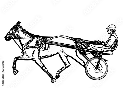 Trotter in harness drawing - vector
