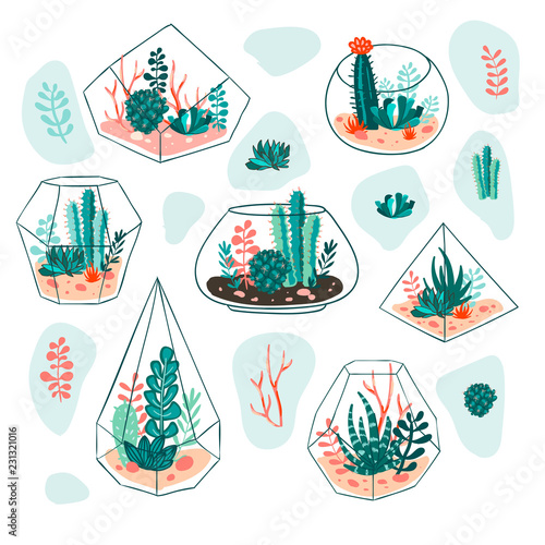 Set of succulents and cactus with terrariums. Vector floral design