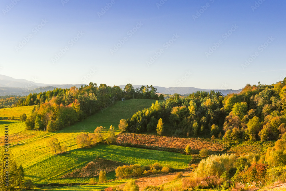 Obraz premium Autumnal landscape with trees on the hills under the blue sky