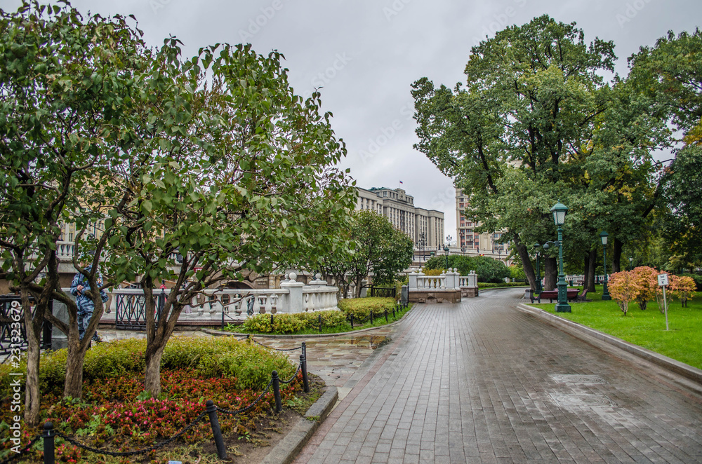 Naklejka premium road in the park