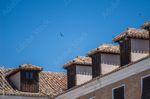 Rural roofs with swallows flying