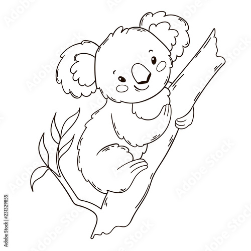 Cute Australian Koala Bear on a tree. Black and white outline illustration. Coloring book page.