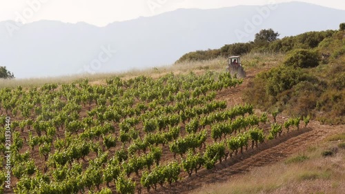 Tractor passing trough vine yard