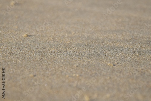 Wallpaper Mural Strand bei Ebbe an einem windigen Herbsttag Torontodigital.ca