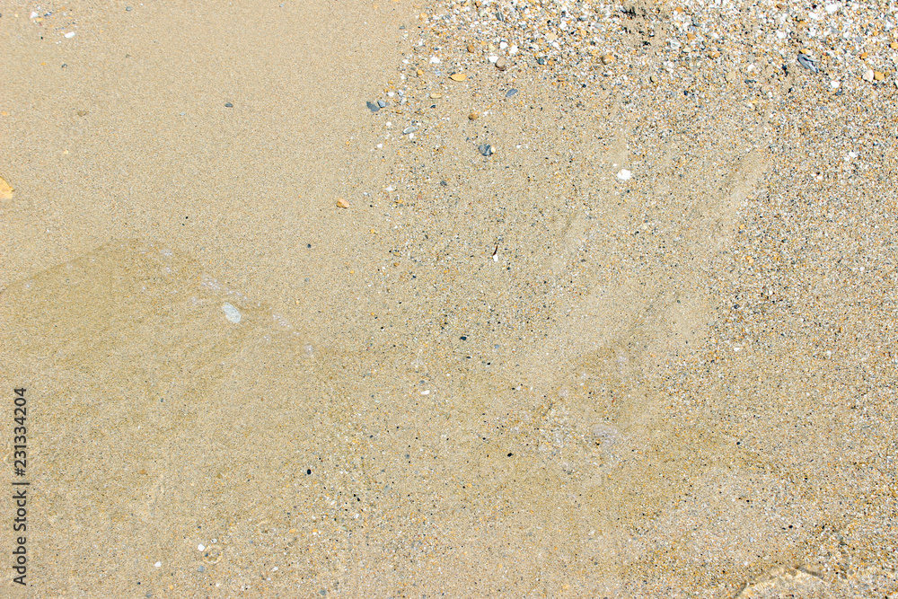 Beach sand close up surface texture horizontal background Beach sand close up surface texture horizontal background