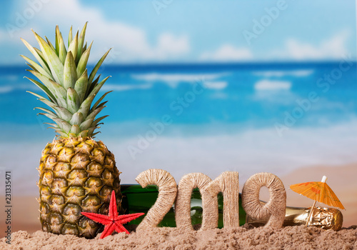Christmas inscription 2019, juicy fresh pineapple on background of ocean