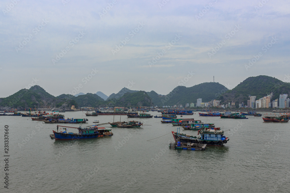 Fototapeta premium view over the bay in cat ba island, ha long bay, vietnam