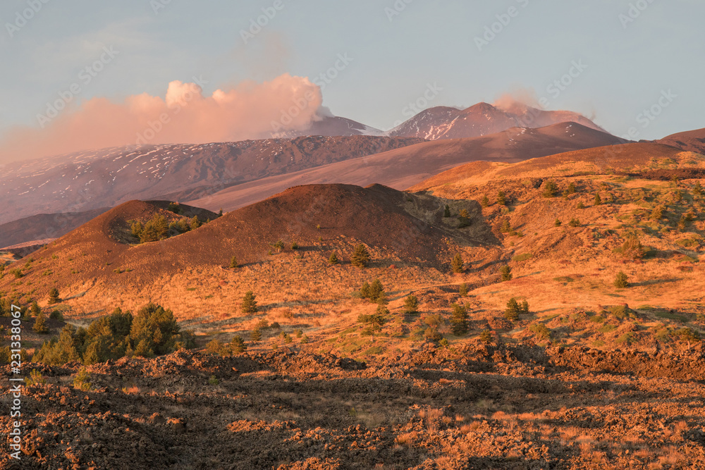 The colorful forests and lava flows in the autumn season on the Etna volcano