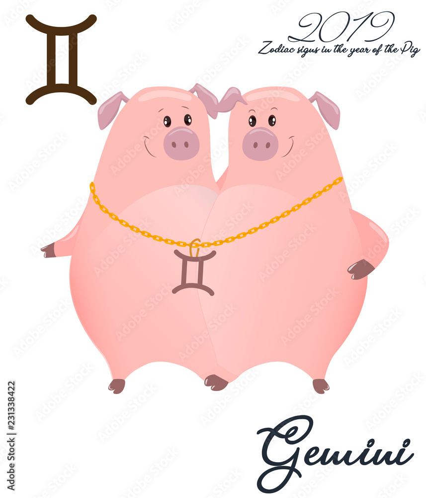 Zodiac sign Gemini. 2019 year of the pig. Two piglets twins. Funny horoscope.  Cute animal. Vector illustration in cartoon style. Lettering jelly Gemini.  Isolated object on white background. Stock Vector | Adobe Stock