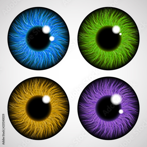 Iris of the human eye. Isolated on light background. Various colored eye lenses. Realistic vector illustration.