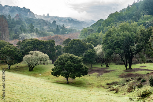 Dramatic clouds over bright green trees and grass, Crystal Springs, San Francisco Peninsula, California photo