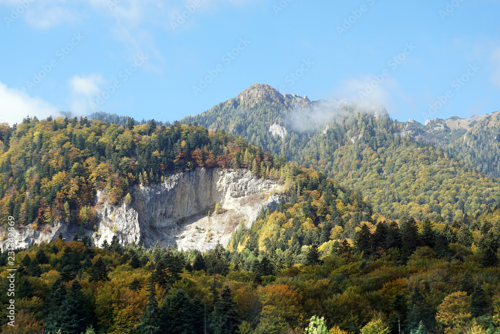 Romanian Carpathian Mountains with autumn trees.