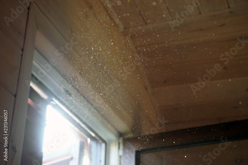 A ray of sun coming through the wooden shutters, illuminates dust on the inside of a dark room. 