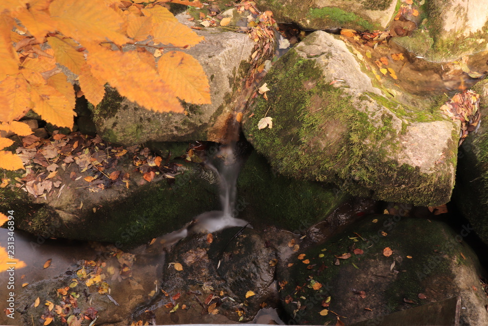 Obraz premium kleiner wasserfall im herbst