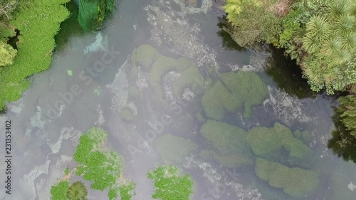 Rotura .nueva zelanda