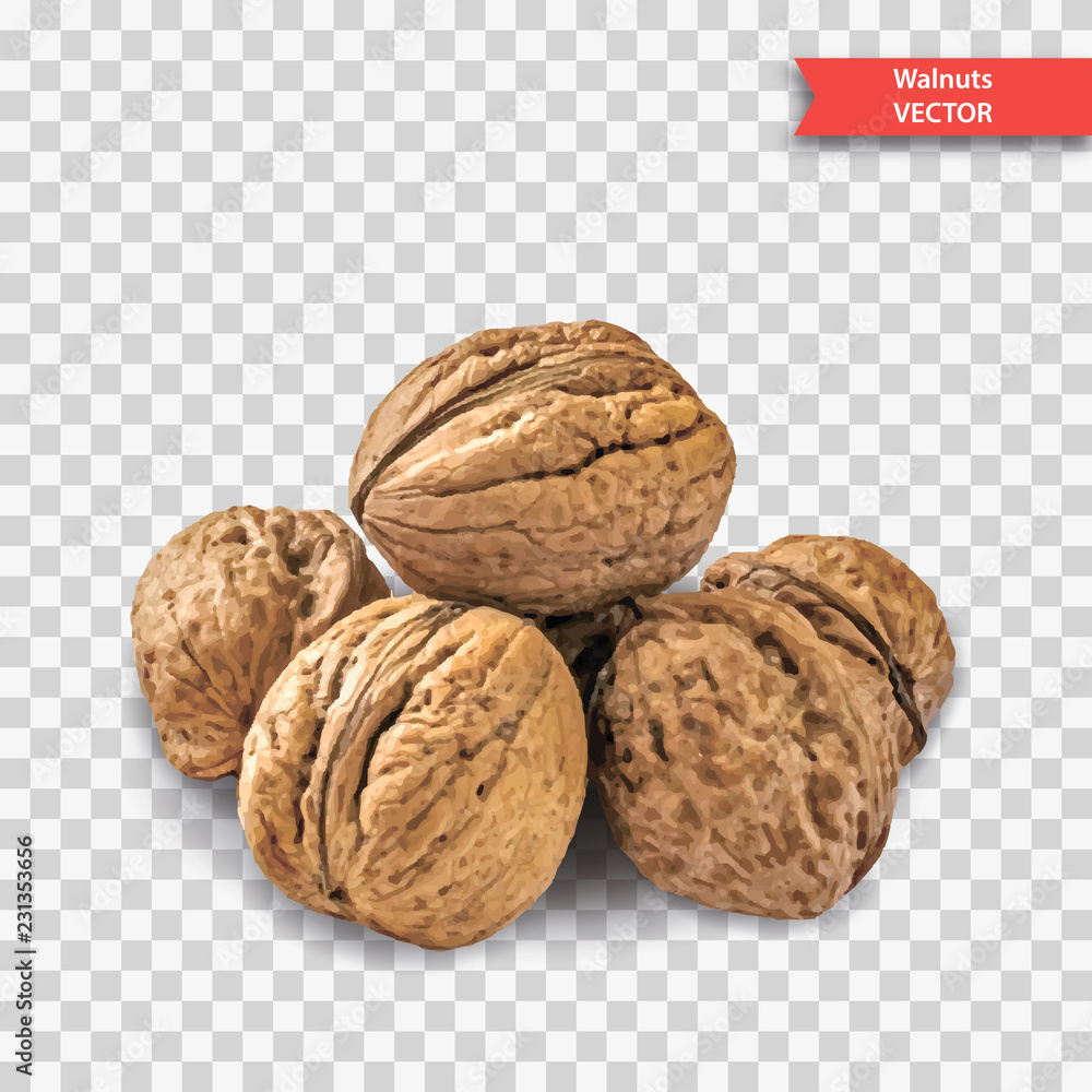 A pile of several walnuts on a transparent background. Object Decor for New Year or Christmas. Realistic Vector Illustration