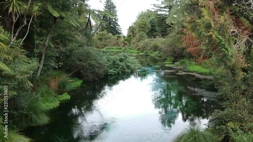 Rotura .nueva zelanda
