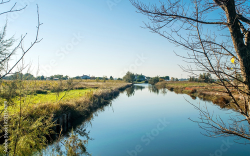 Landscape of the island in the Venetian lagoon,Italy,2 November 2018,the landscape of the island of Sant'Erasmo, in the Venetian lagoon, autumn landscape, Sunny morning with clear blue sky