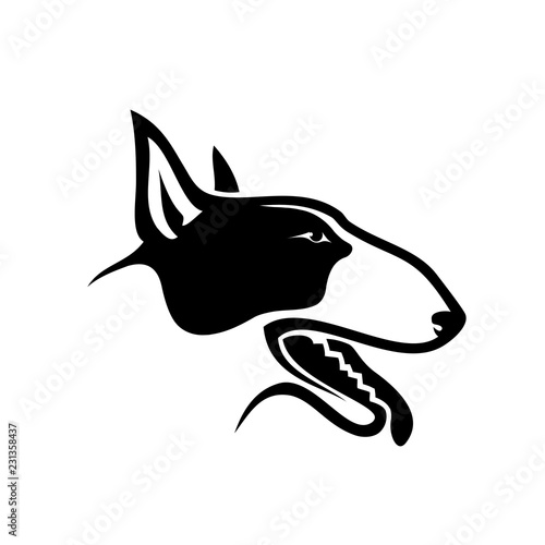 Bull terrier dog