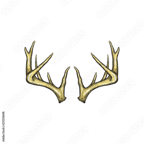 Handrawn antler vector, Hunting logo design inspiration