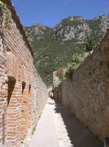 Villefranche de conflens photo