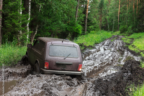 Сar stuck on a muddy forest track © Alexander