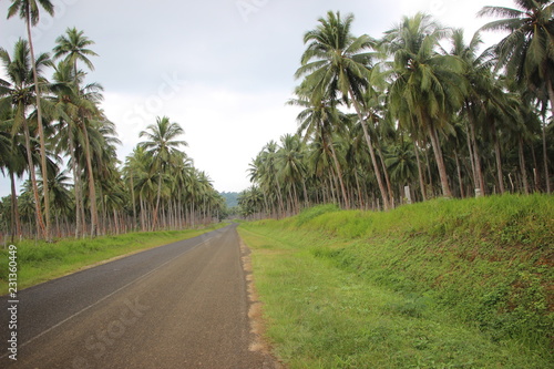 road in Vanuatu