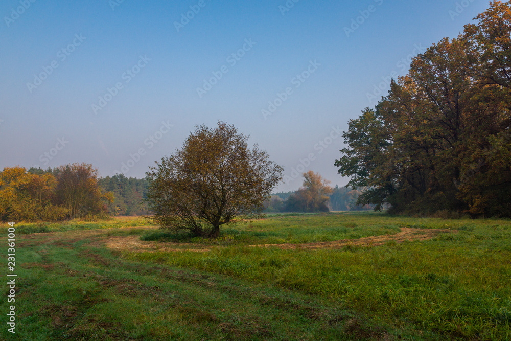 Chojnowski landscape park at autumn near Konstancin-Jeziorna, Masovia, Poland Chojnowski landscape park at autumn near Konstancin-Jeziorna, Masovia, Poland