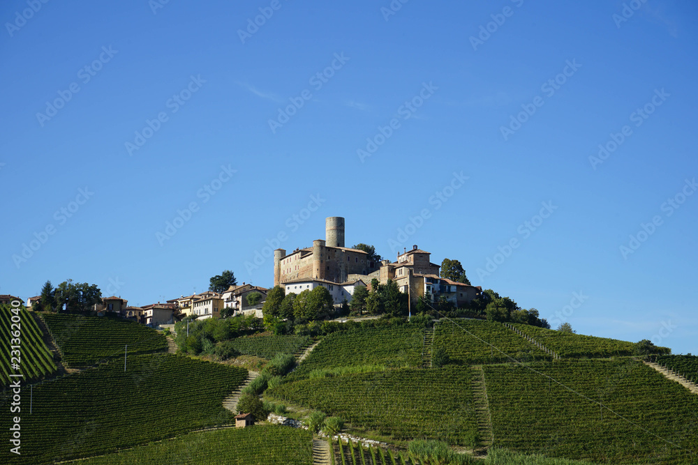 View of the Langhe hills with the village of Castiglion Falletto and his castle, Piedmont - Italy