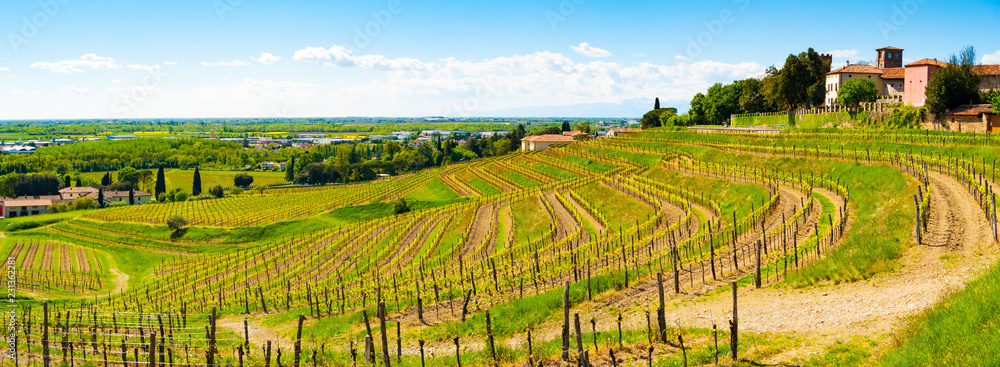 Panoramic view of vineyards and castle in Buttrio