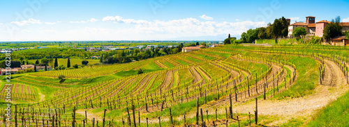 Panoramic view of vineyards and castle in Buttrio photo