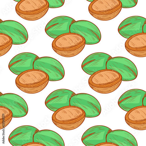 Argan. Background, wallpaper, seamless. Sketch.