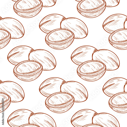 Argan. Plant. Background, wallpaper, seamless. Sketch. Monochrome. On a white background.