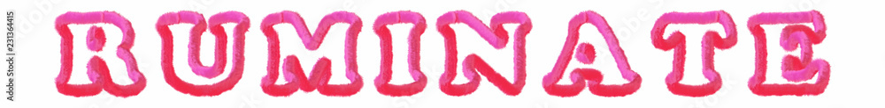 Ruminate - clear pink text written on white background Ruminate - clear pink text written on white background