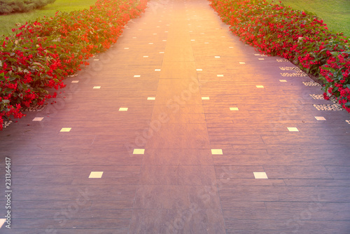 Pathway with red flowers on sides of road photo