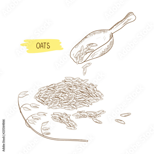 Oats. Ladle, spica, grain. Sketch. Monochrome