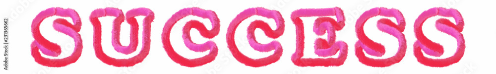 Success - clear pink text written on white background Success - clear pink text written on white background