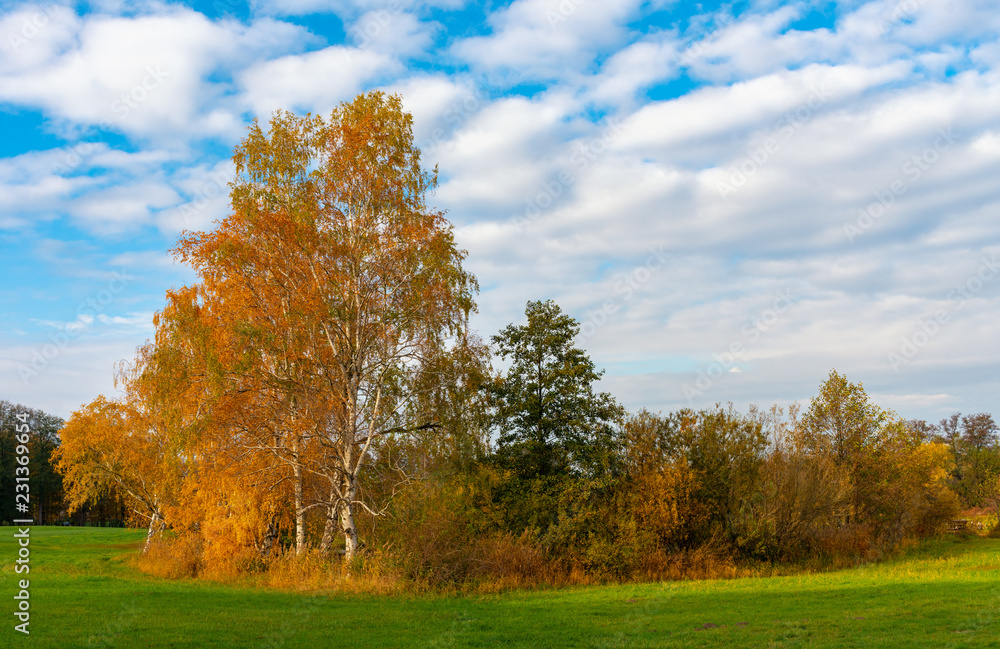Autumn landscape in the north of Berlin, Lübars, Germany